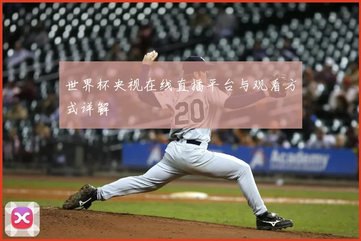 世界杯央视在线直播平台与观看方式详解